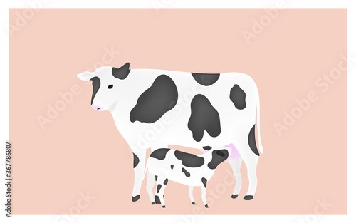 母牛の乳を吸う子牛のイラスト　ピンク背景