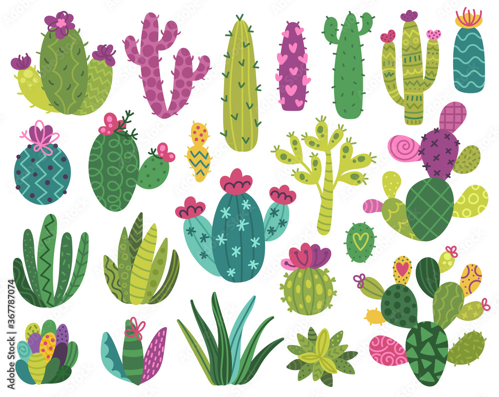 Cute cactus and succulent Cute cactus and succulent