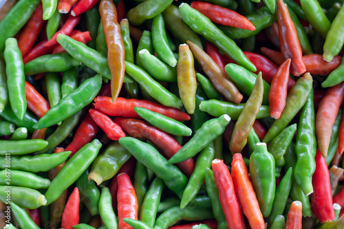 Pile of red and green chilli is ingredients for a cook for background.