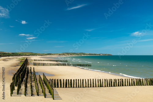 Mussel poles on the beach of Wissant on the Opal Coast in France