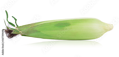 Corn isolated on a white background