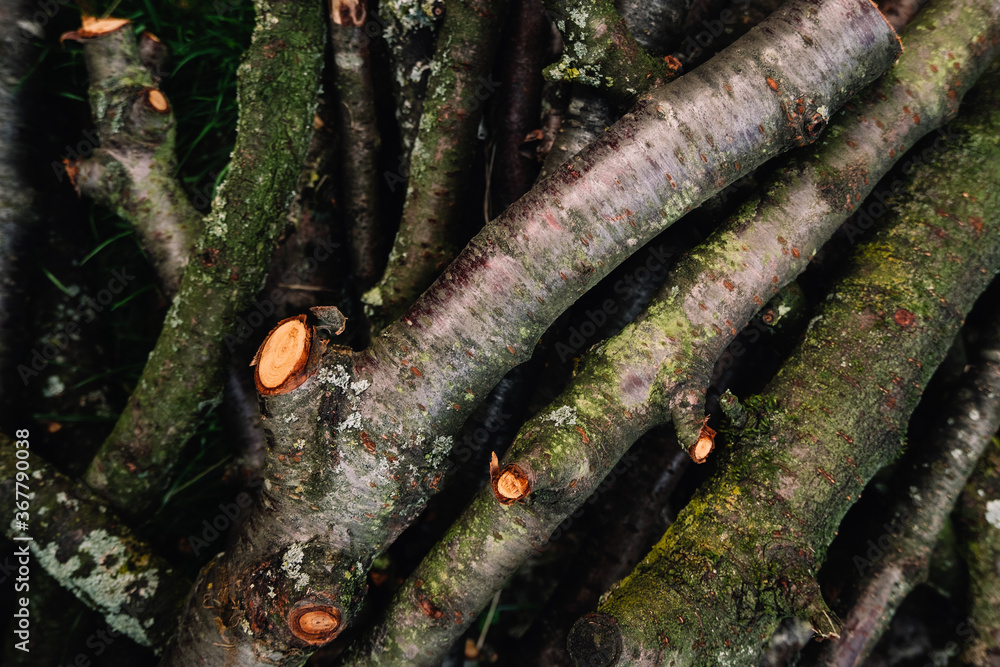 close up shot of cut down tree branches on a pile close up shot of cut down tree branches on a pile