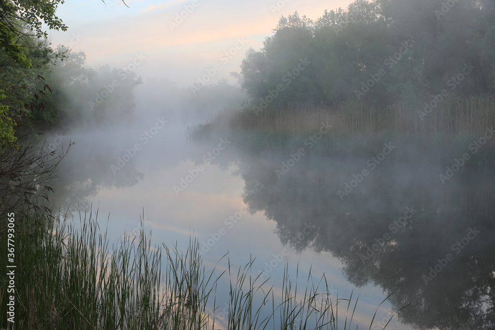 morning mist on river