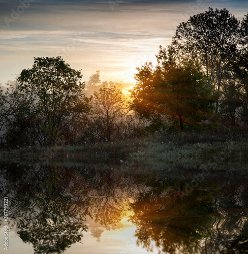sunset over lake water surface in forest