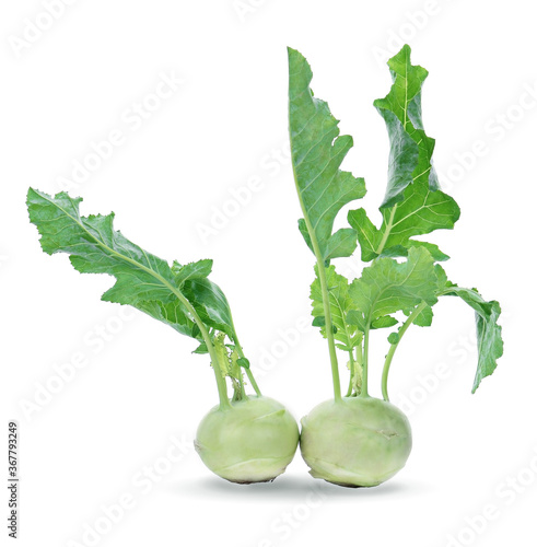 German turnips on white background photo