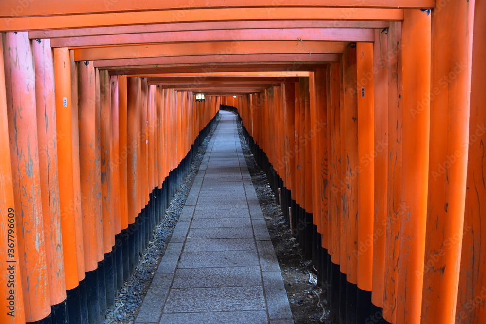 A thousant of gate in Inari shrine, Kyoto A thousant of gate in Inari shrine, Kyoto