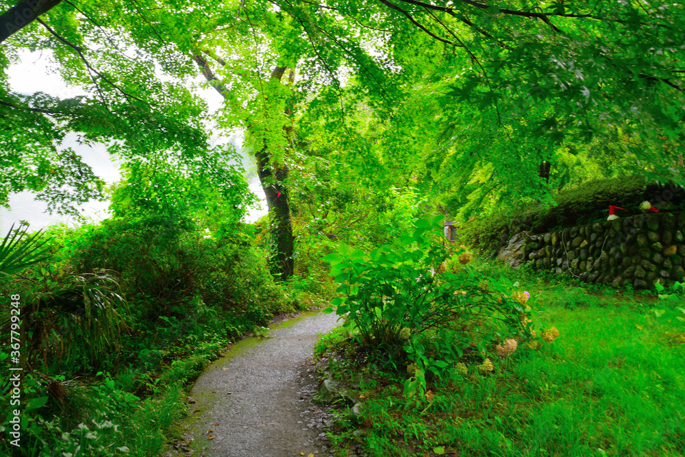御岳渓谷/Mitake Gorge-Tokyo Ome 御岳渓谷/Mitake Gorge-Tokyo Ome