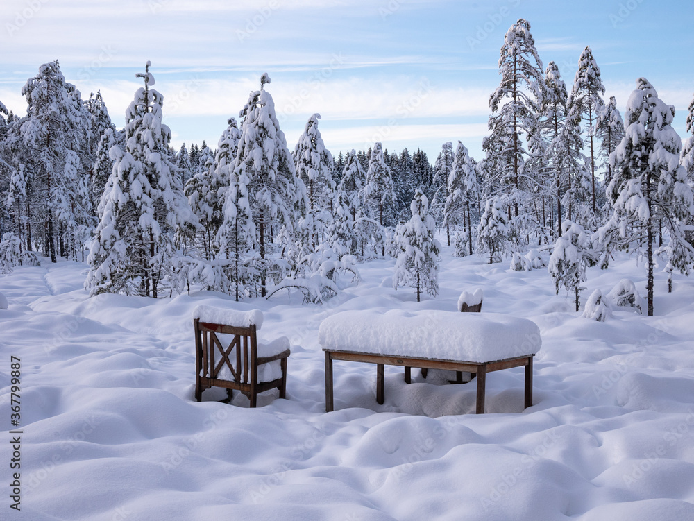 snow covered bench in the woods
