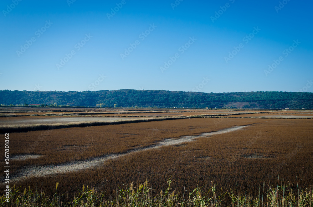 Fototapeta premium Panorama delle Saline di Sicciole lungo la ciclovia Parenzana in Istria 