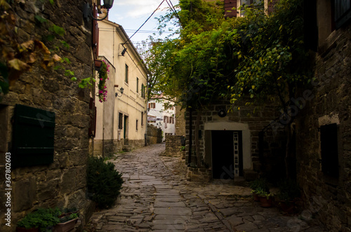 La vecchia cittadina di Grisignana lungo la Parenzana in Istria