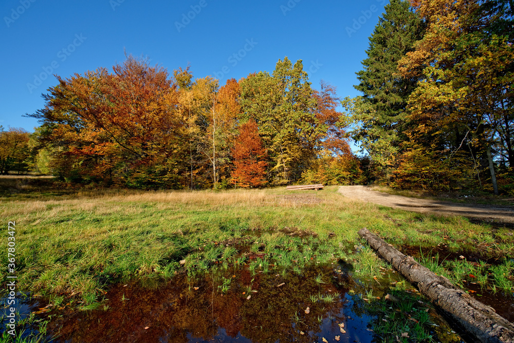 Fototapeta premium Droga do Chybotka