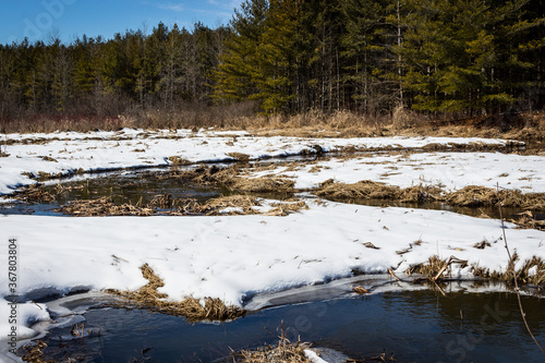 Colour nature landscape photograph taken at the Cataraqui Conservation area in the late winter/early spring in Kingston, Ontario Canada. photo