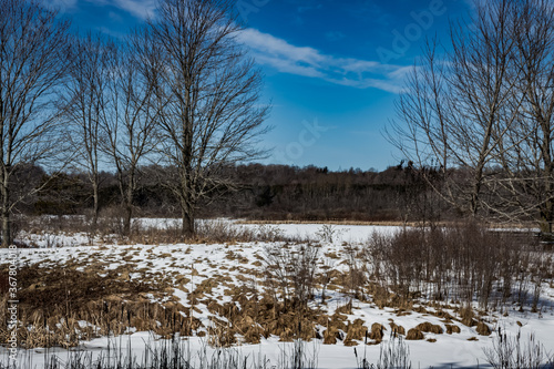 Fototapeta Naklejka Na Ścianę i Meble -  Colour nature landscape photograph taken at the Cataraqui Conservation area in the late winter/early spring in Kingston, Ontario Canada.