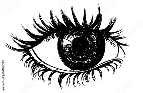 Sketch of the female eye in ink.