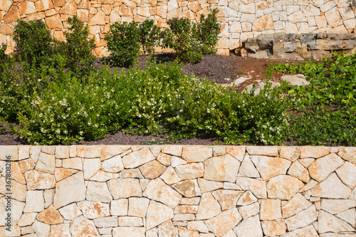 Fototapeta Naklejka Na Ścianę i Meble -  Garten und Landschaftsbau: Terrassenförmige Gestaltung eines felsigen Hanggrundstücks mit Mauern aus Natursteinen und mit Grünpflanzen, Stauden und Efeu umgeben von Schotter bepflanzt