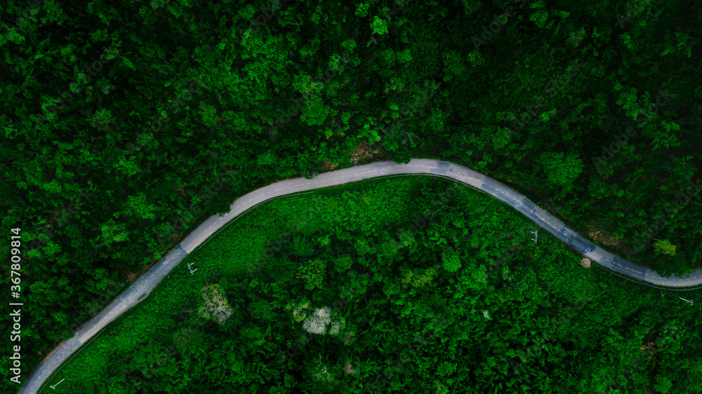 Aerial view or drone shot of the road with car through the green forest in Asia.