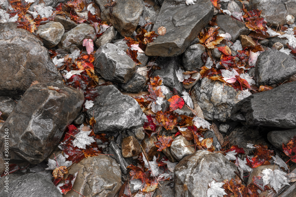 Stones and Leaves