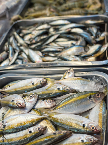 Yellowstripe scad, also known as the yellowstripe trevally, and Salay-salay in the philippines, at the fish section of a supermarket. Known as ikan kuning in Malaysia photo