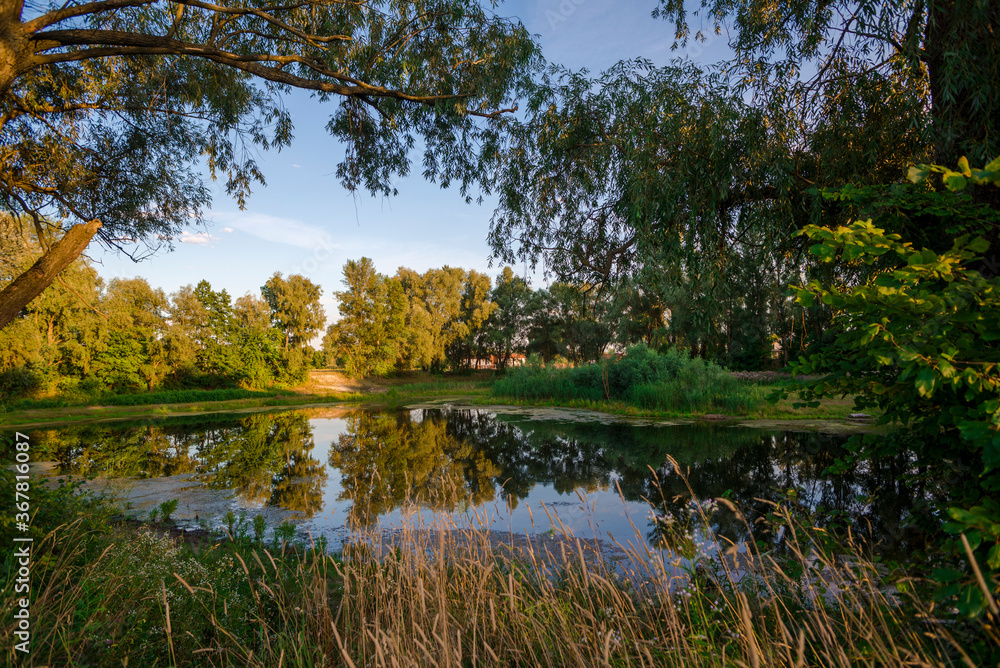 Fototapeta premium Wild lake in the country, beautiful rural scenery 