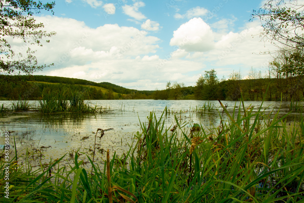 Pond under the mountain by the forest