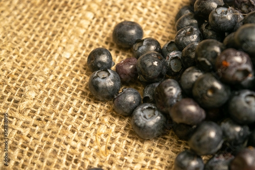 Blueberries scattered on a background of homespun fabric with a rough texture. Close up.