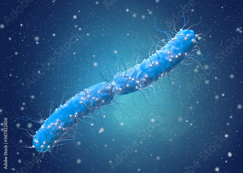 Dangerous pathogenic bacteria Escherichia coli, colibacillus, pathogen of stomach infection, medical abstract background, concept, 3D rendering photo