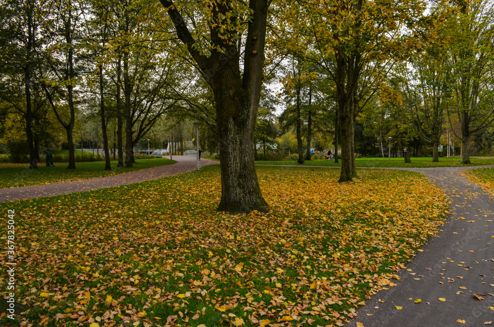 Beautiful urban park located at Amsterdam in Netherlands.