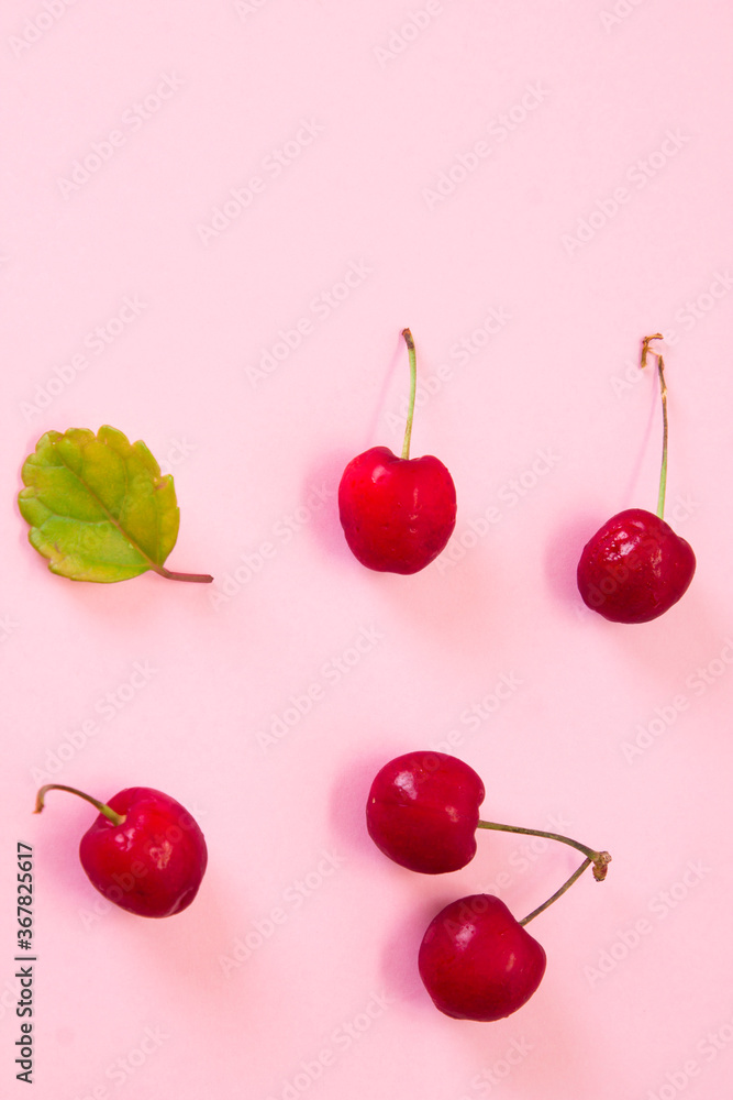 red cherries on pink background red cherries on pink background