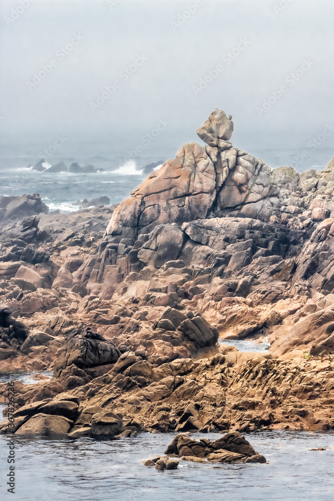 Naklejka premium rocky coast of the island of Ouessant, off Brittany
