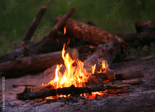 flame of burning wood