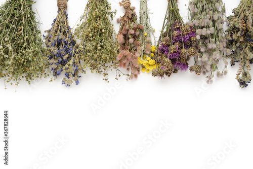 Valokuvatapetti Row of medicinal herbs bunches on white background