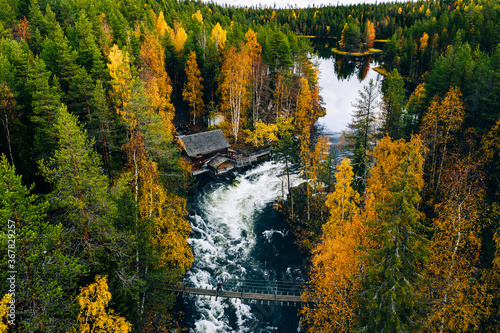 Aerial view of fast and wooden cabin in beautiful orange and red autumn forest. Oulanka National Park, Finland. photo