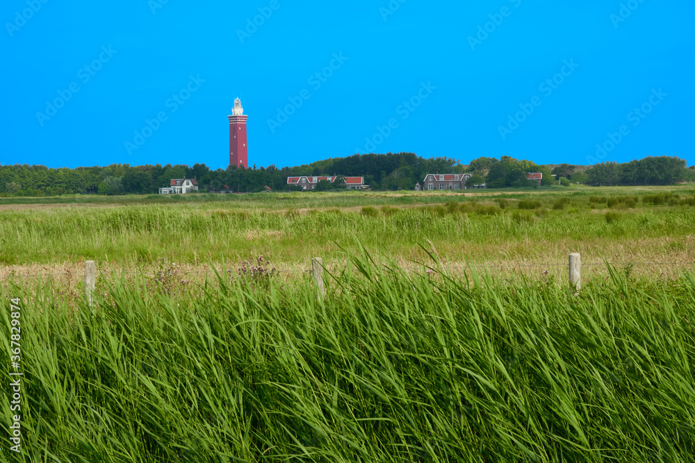 Tall green reeds, Dutch houses in the background and red lighthouse. Ouddorp, Netherlands.