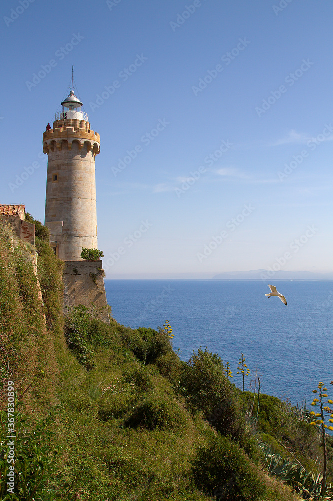 view of the lighthouse on the Elba island