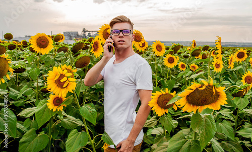 The guy is talking by mobile phone  in a field with sunflowers. Agriculture manager concept