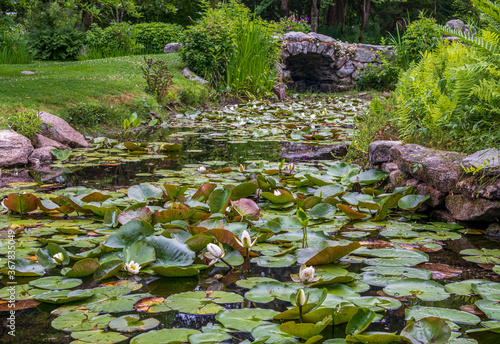 Obraz na plátně Beautiful view of the lilypond in Historic Blithewold Mansion, Gardens & Arboret