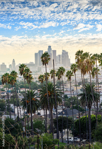 Los Angeles skyline and palm trees in foreground © chones