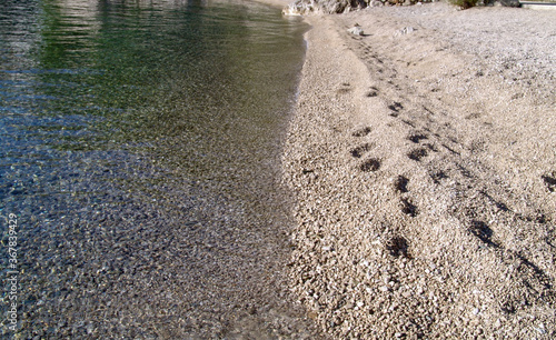 Scene on the beach, footprints in the sand!