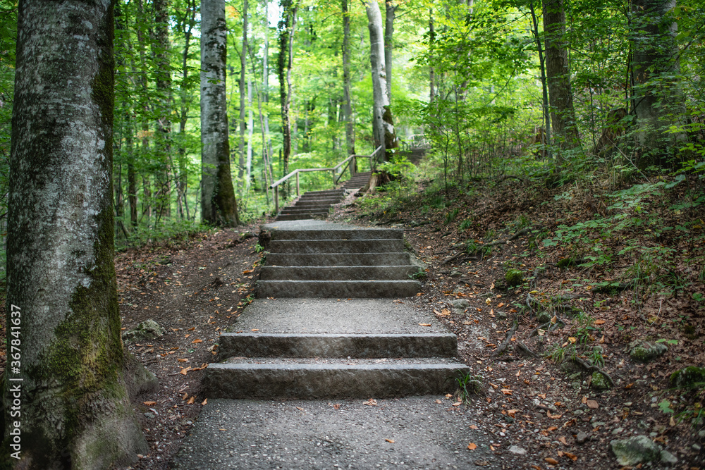 A concrete path with footsteps going through a forest in summer. A concrete path with footsteps going through a forest in summer.