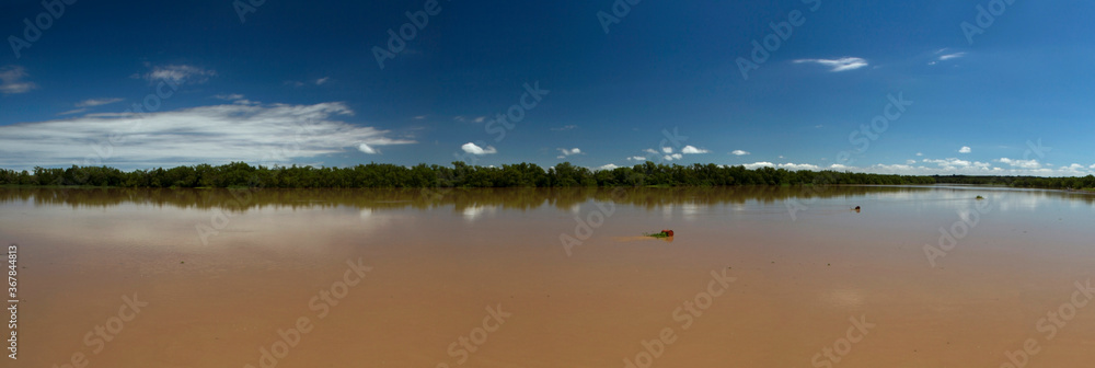 wilderness. Panorama view of the wide Amazon river, jungle, coastline and deep blue sky. 