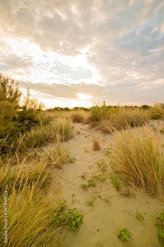 Porto Caleri coastal botanical garden and wild beach, Veneto, Italy. Dramatic sunset.