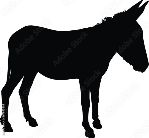 Donkey silhouette