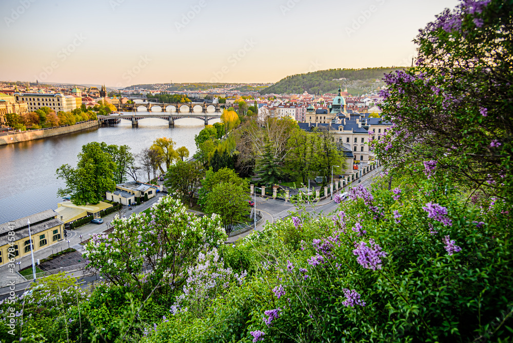 Vltava river in Prague with several bridges across such as Charles's Bridge and Manesuv bridge.