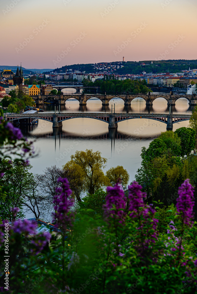 Vltava river in Prague with several bridges across such as Charles's Bridge and Manesuv bridge.