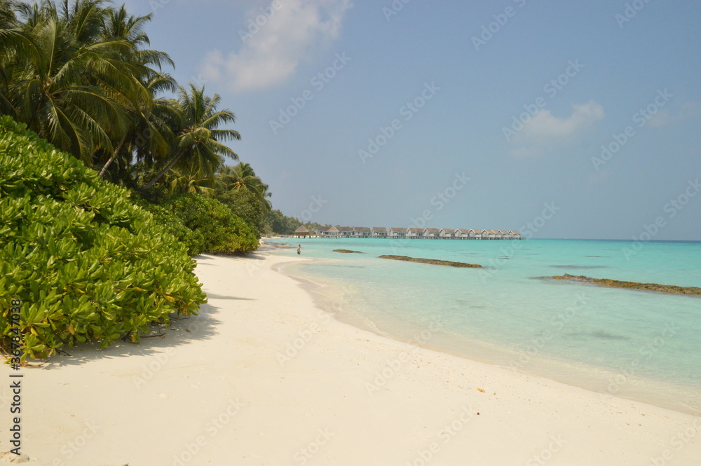 The paradise beaches on The Maldives in the Indian Ocean