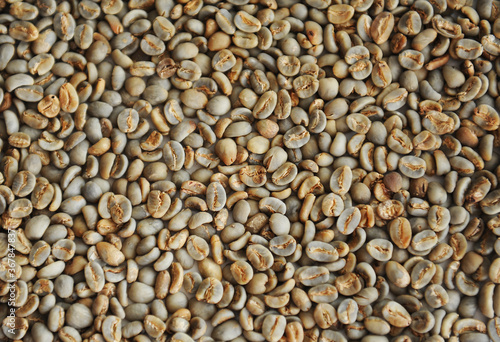 Texture background of green unroasted coffee beans
