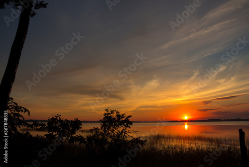 Summer lake at dawn, nature background. © yauhenka