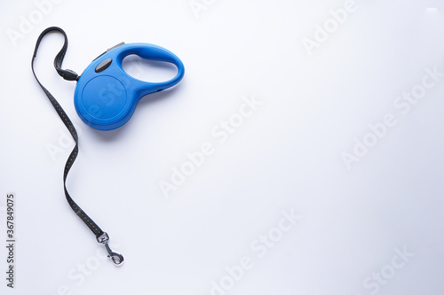 Blue retractable leash for dogs on a white background, with space for text. Flat lay.