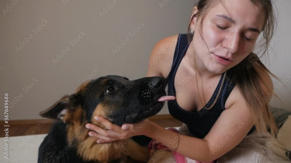 Happy woman playing with her german shepherd dog on sofa at home in living room Happy woman playing with her german shepherd dog on sofa at home in living room
