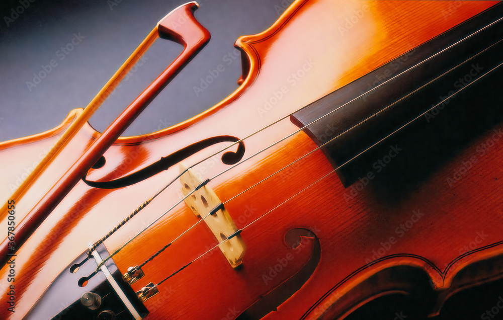 Fototapeta premium close up violin and bow
